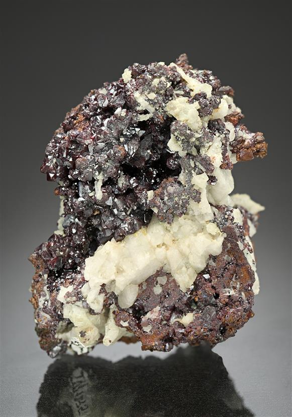 CC10039 specimen image