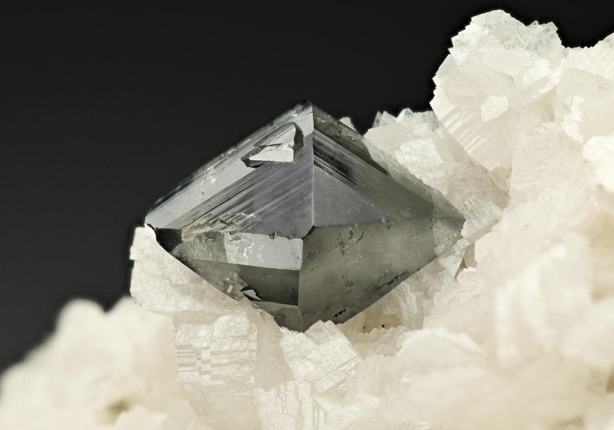 CC10322 specimen image