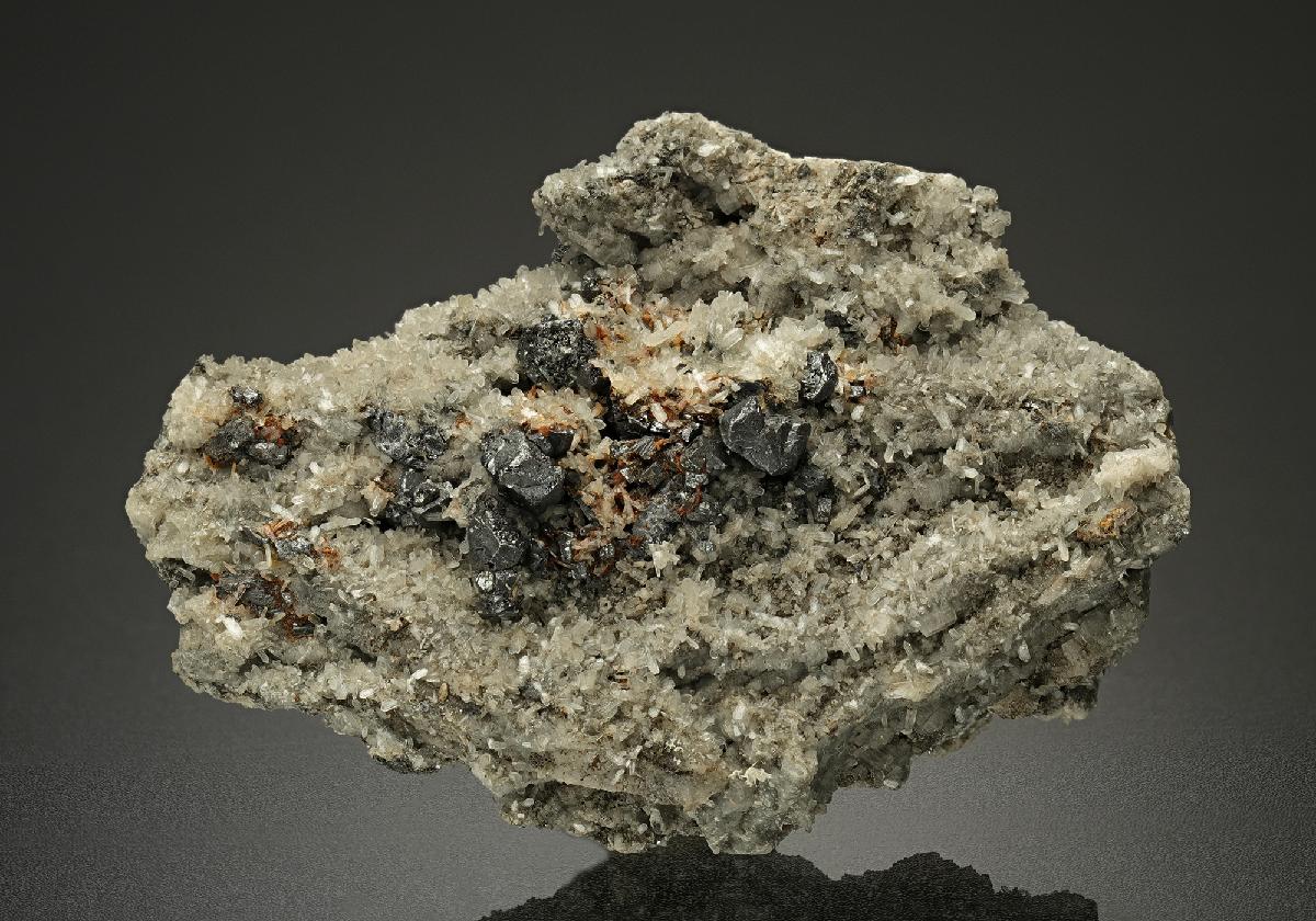 CC10371 specimen image
