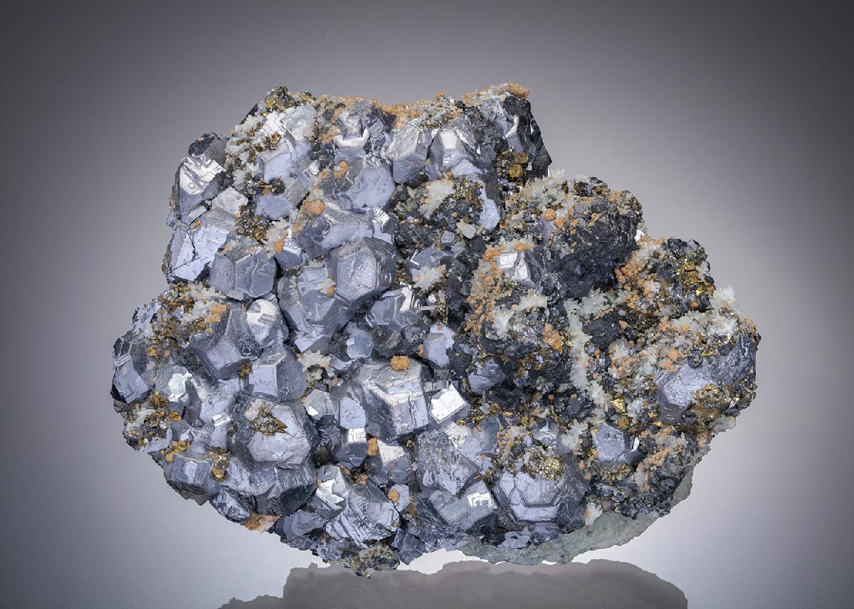 CC10487 specimen image