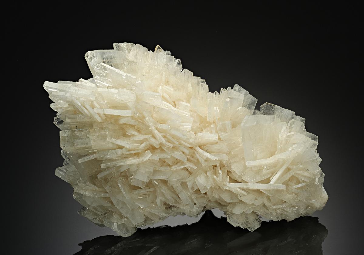 CC10489 specimen image