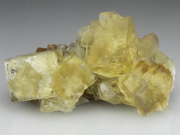 CC1053 specimen image