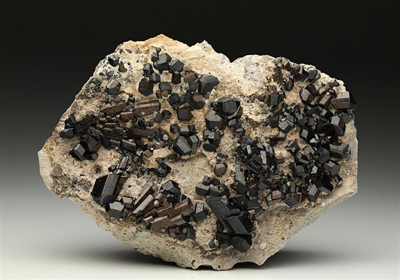 CC10549 specimen image
