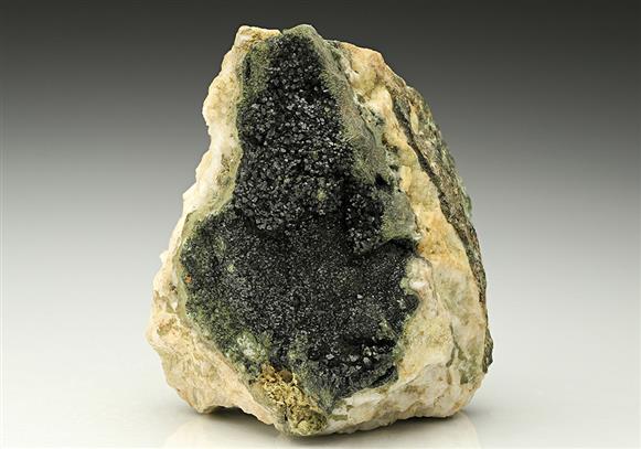 CC10551 specimen image