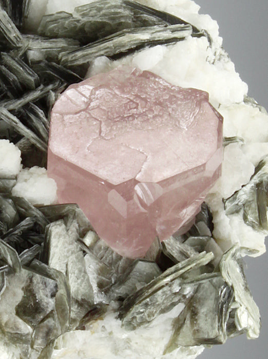 CC1058 specimen image