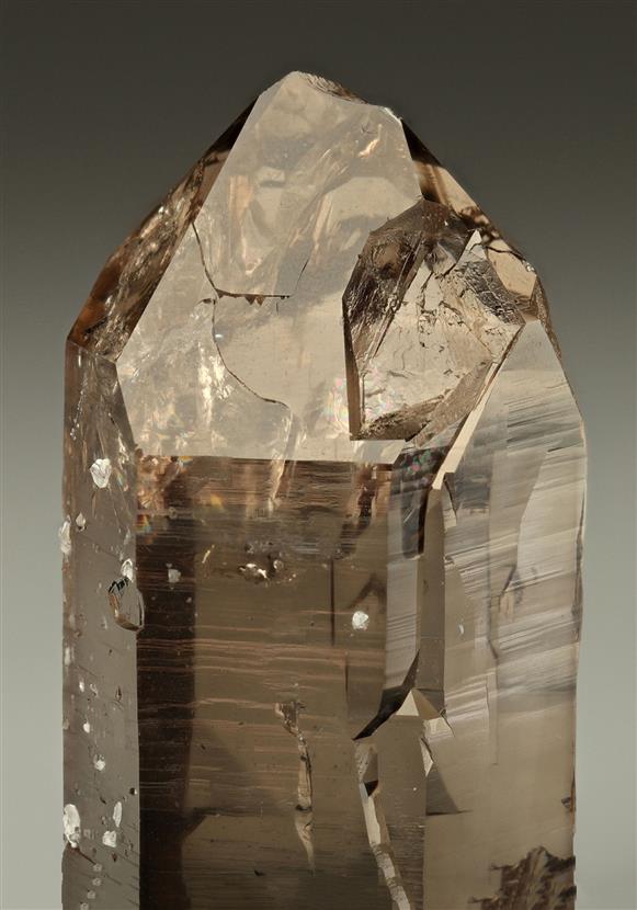 CC10648 specimen image
