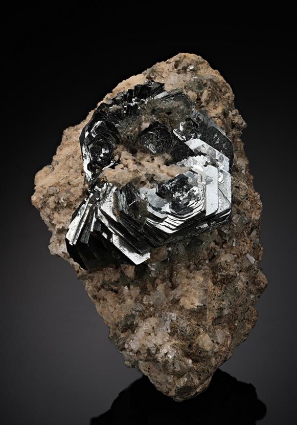 CC10659 specimen image
