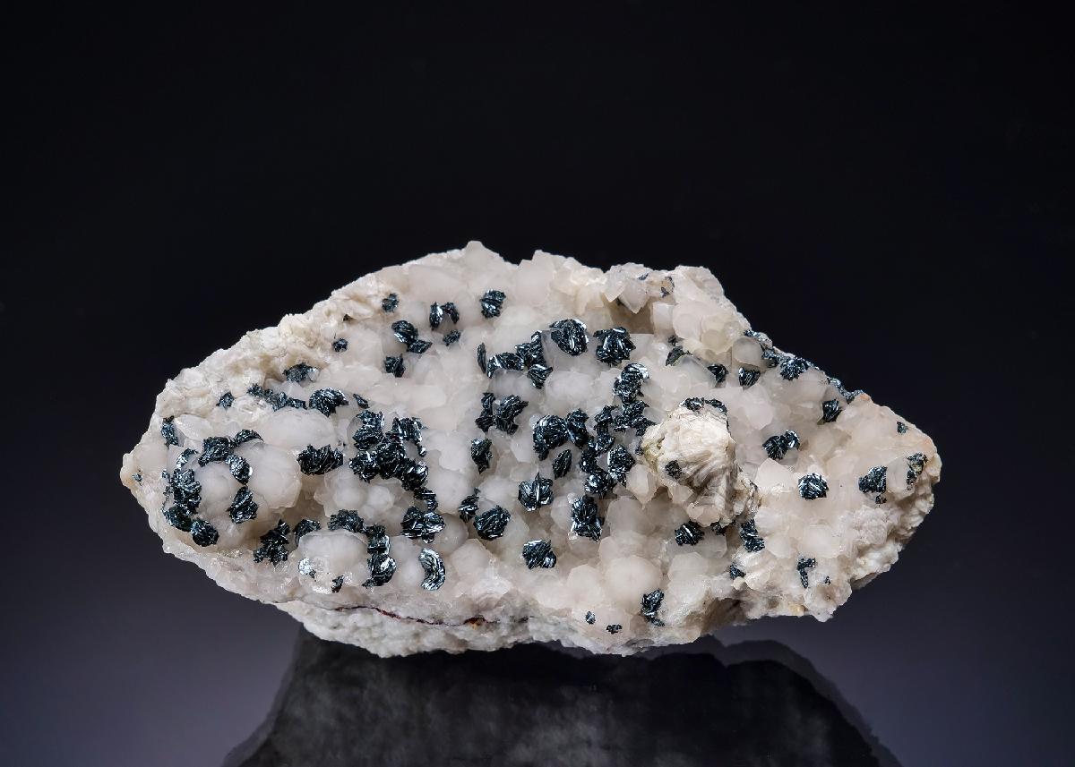 CC1071 specimen image