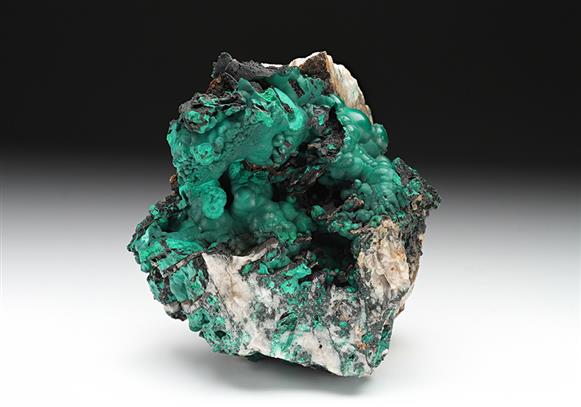 CC10902 specimen image