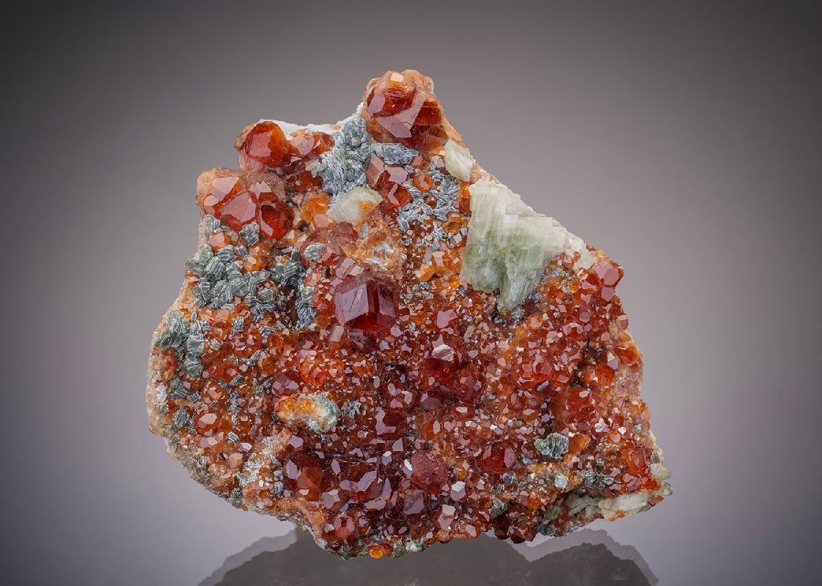 CC11053 specimen image