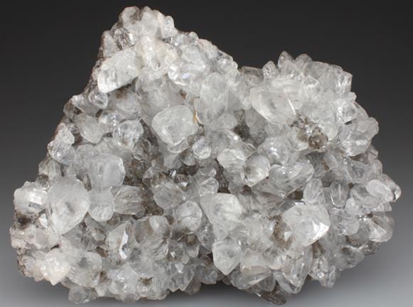 CC1113 specimen image