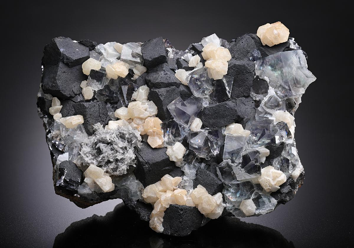 CC11163 specimen image