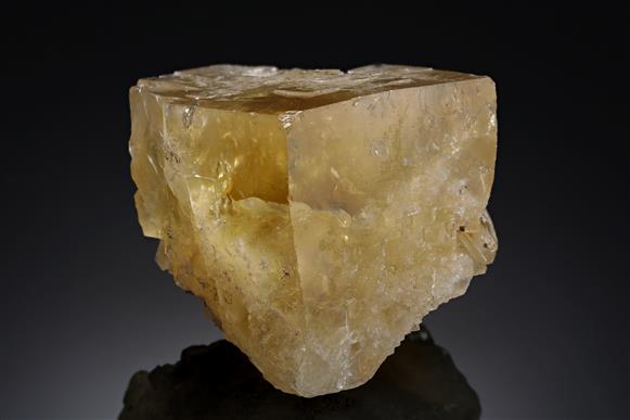 CC11215 specimen image
