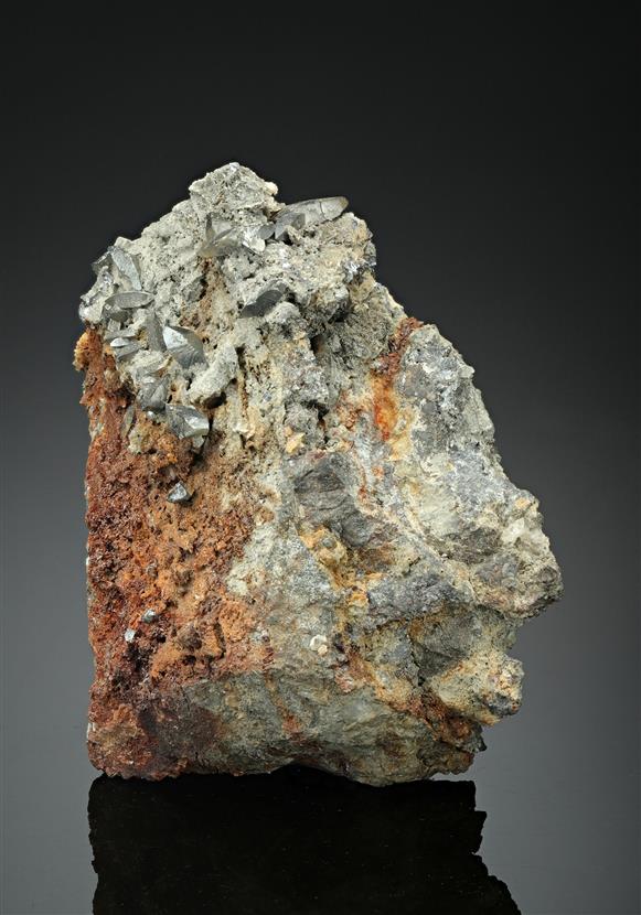 CC11243 specimen image