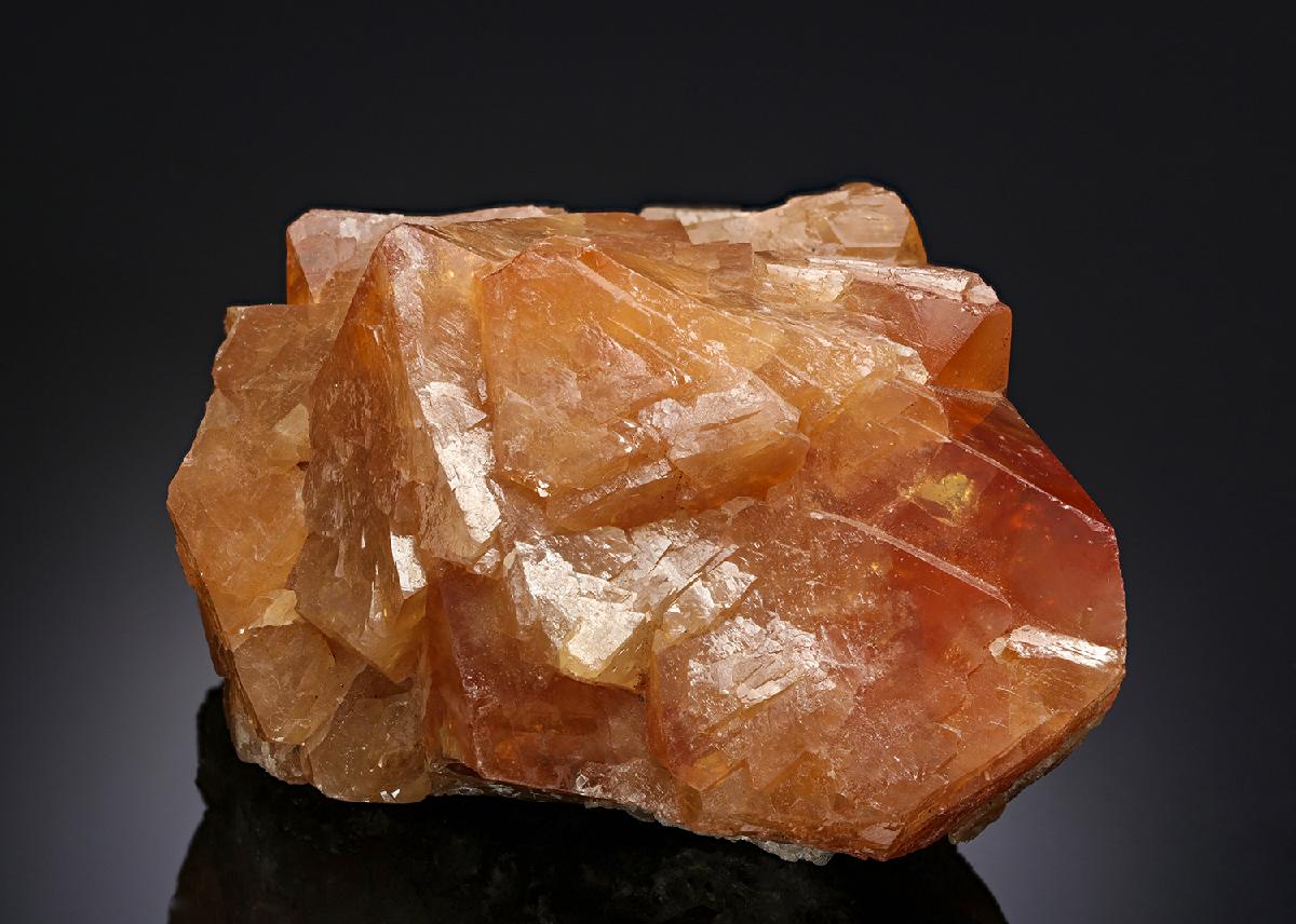 CC11376 specimen image