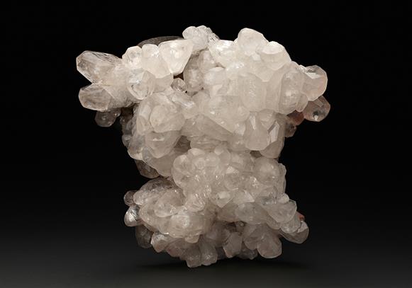 CC11481 specimen image