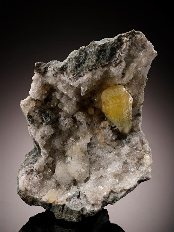 CC11701 specimen image