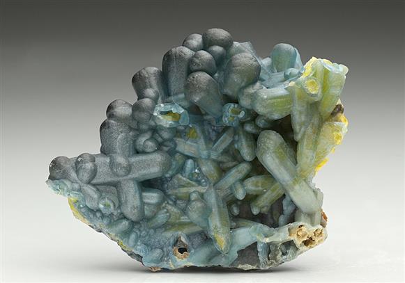 CC11945 specimen image