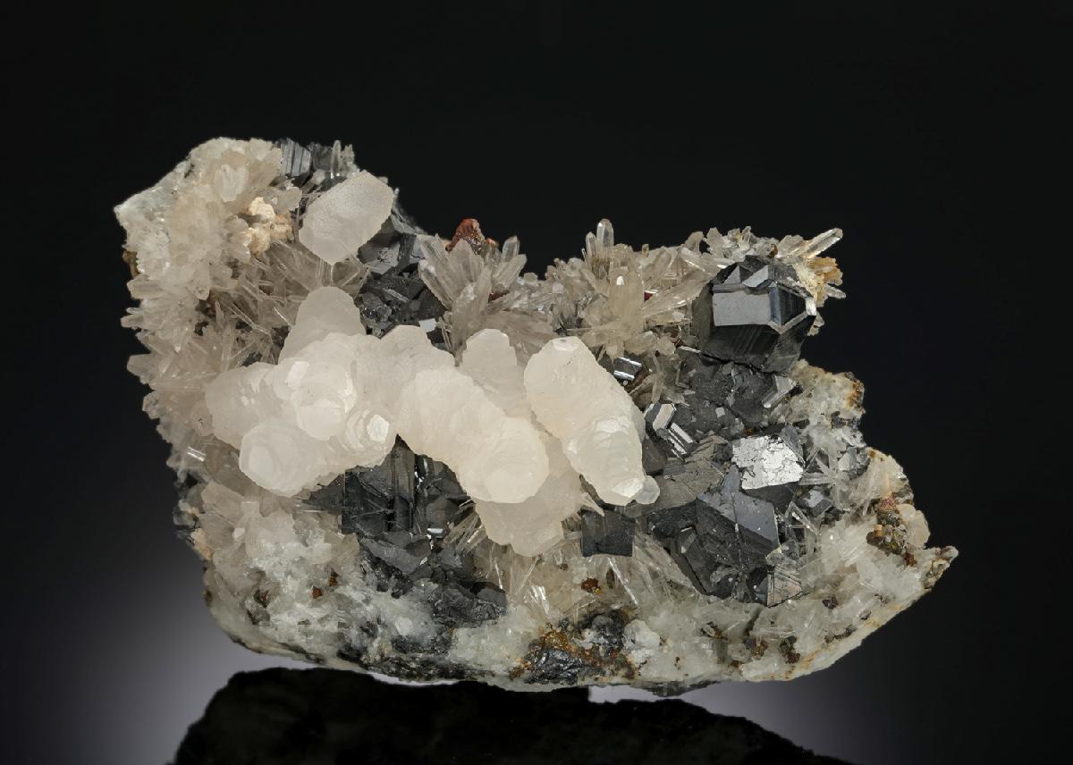 CC12012 specimen image