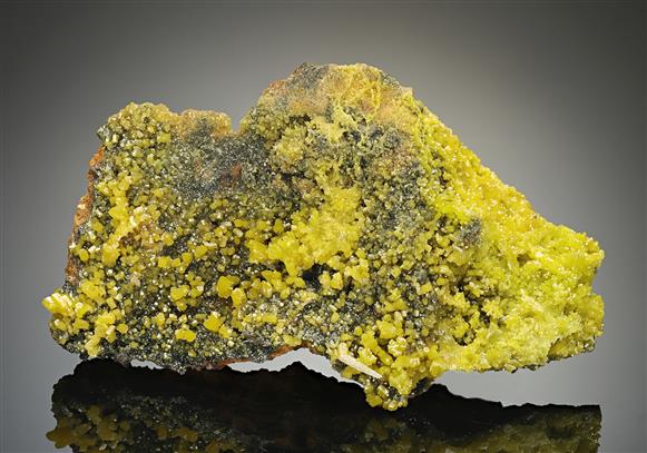 CC12278 specimen image