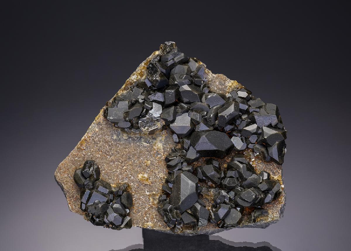CC12376 specimen image