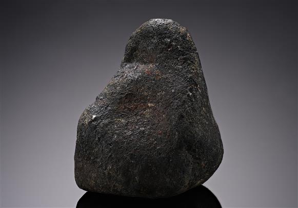 CC12489 specimen image