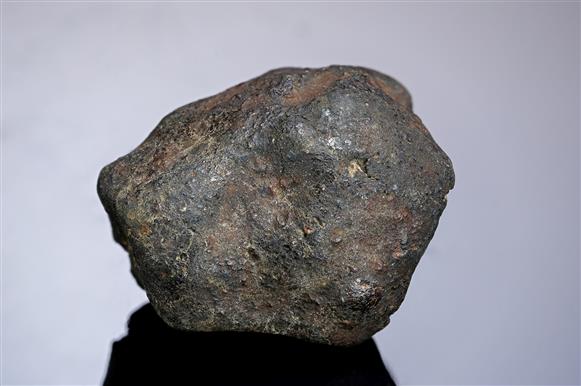 CC12541 specimen image
