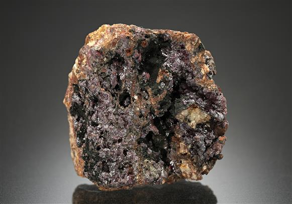 CC12639 specimen image