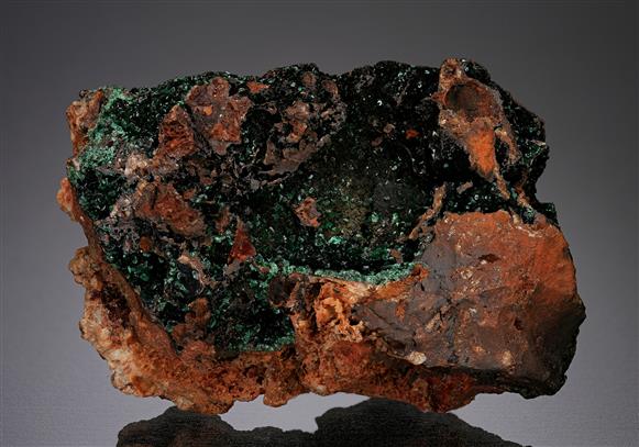 CC12641 specimen image