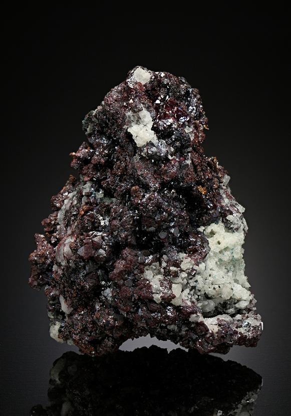 CC12651 specimen image