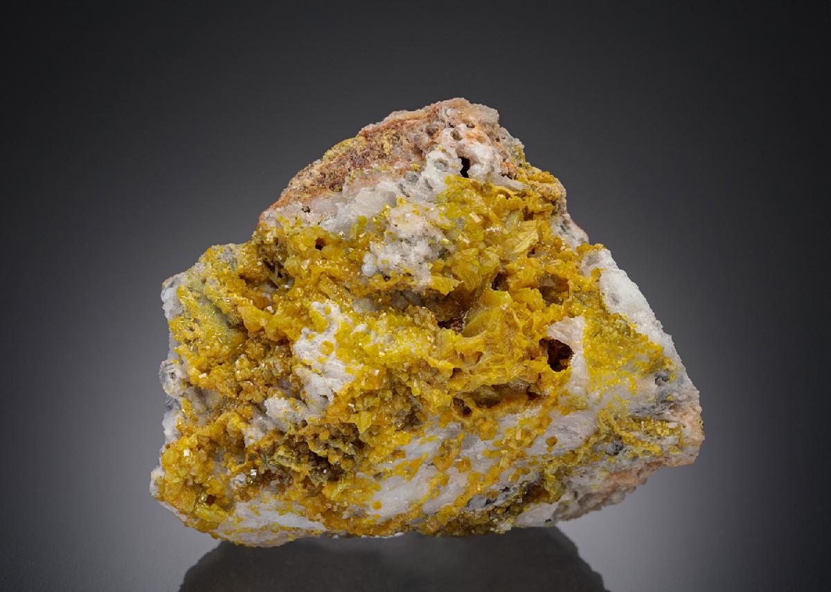 CC12667 specimen image