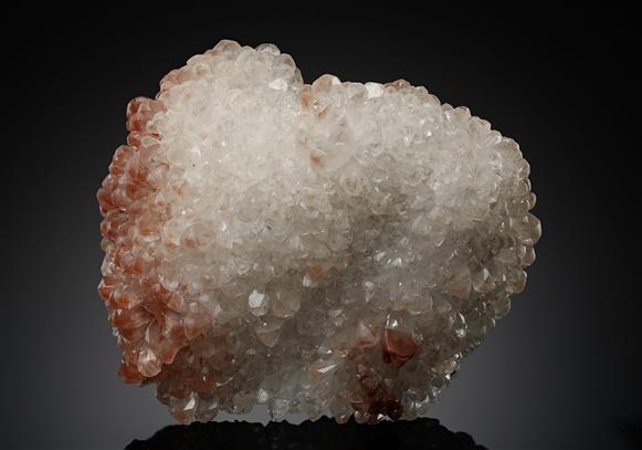 CC12686 specimen image