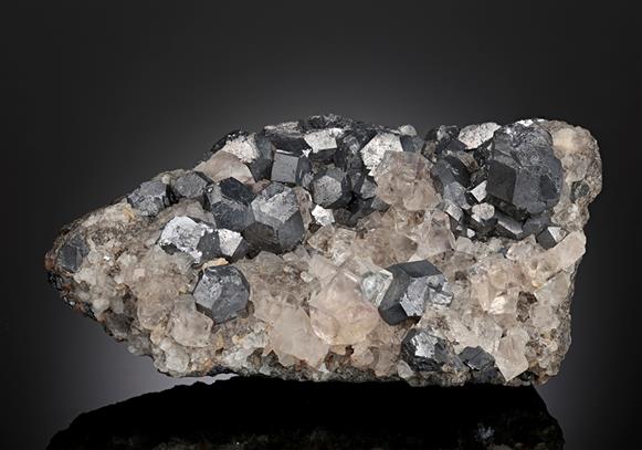 CC12702 specimen image