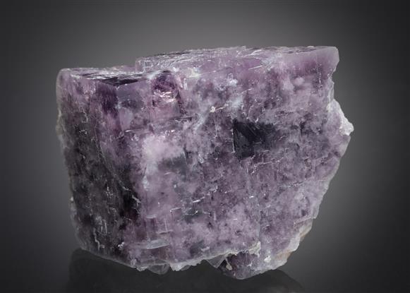 CC12756 specimen image