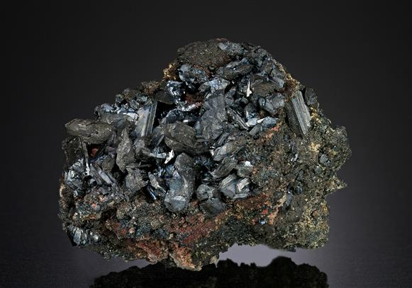 CC12812 specimen image