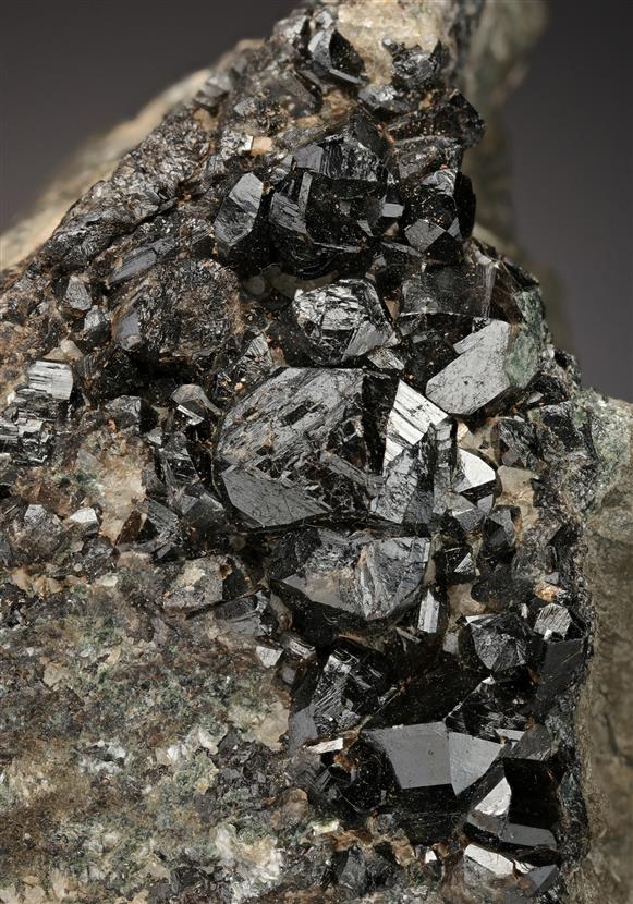 CC12870 specimen image