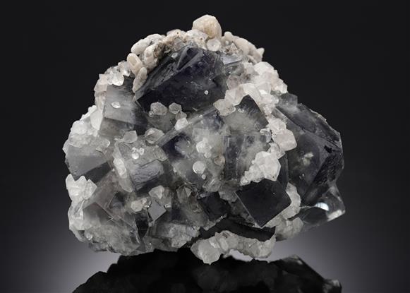 CC12916 specimen image