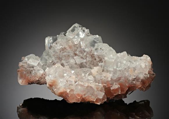 CC12917 specimen image