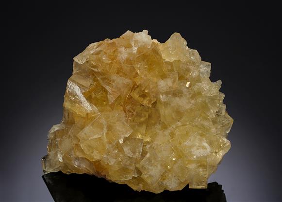 CC13020 specimen image