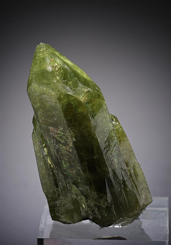 CC13037 specimen image