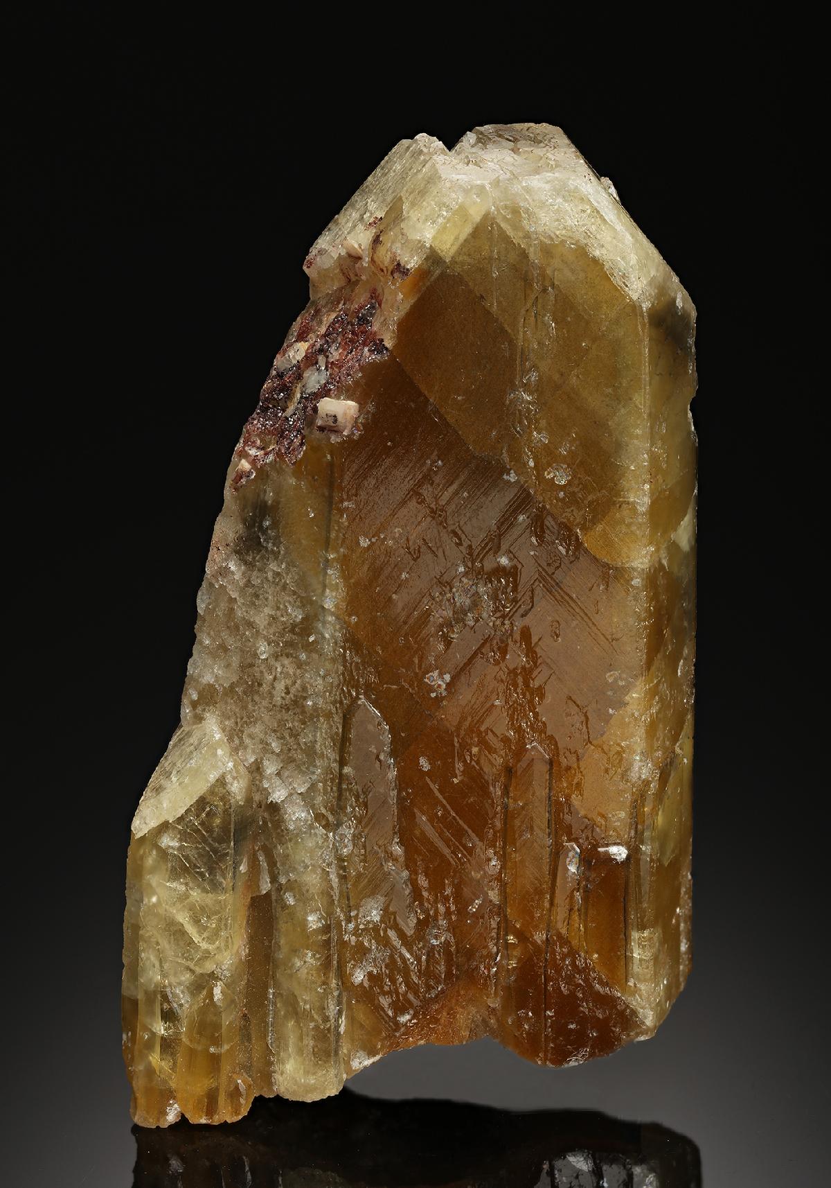 CC13106 specimen image