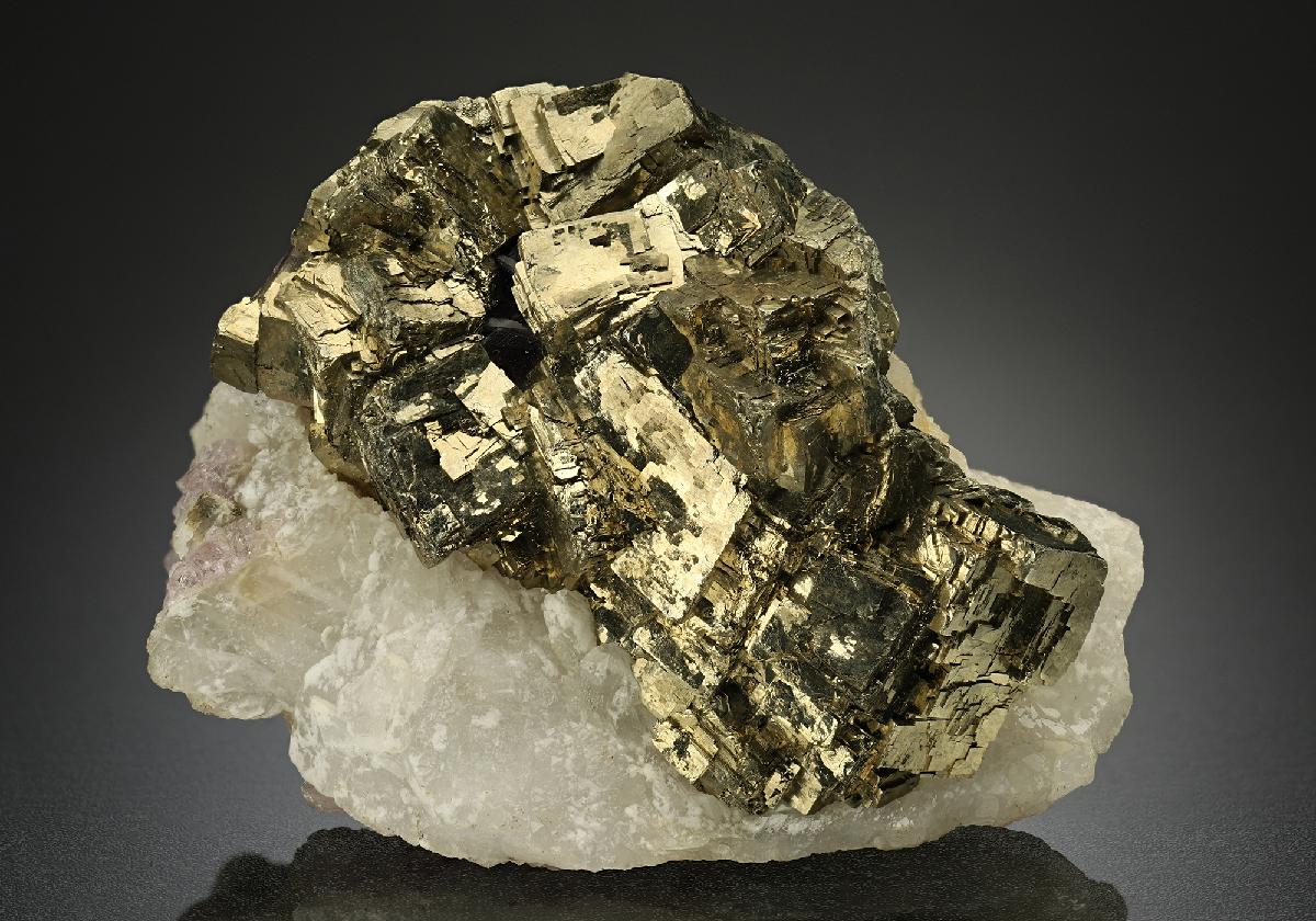 CC13133 specimen image