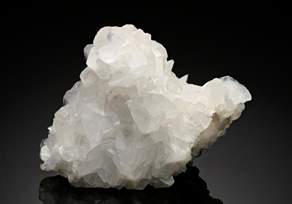 CC13141 specimen image