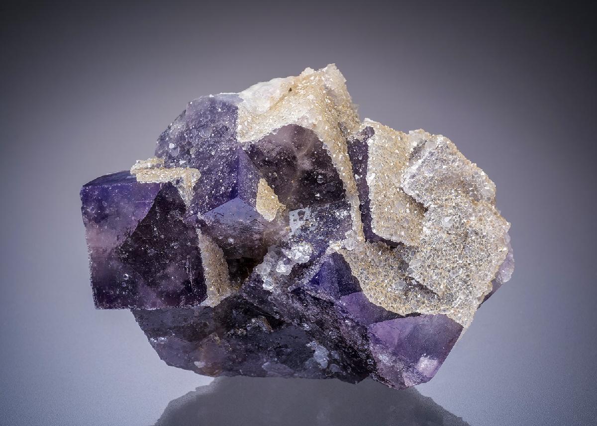 CC13144 specimen image