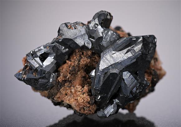 CC13163 specimen image