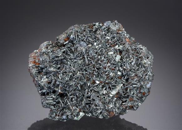 CC13173 specimen image
