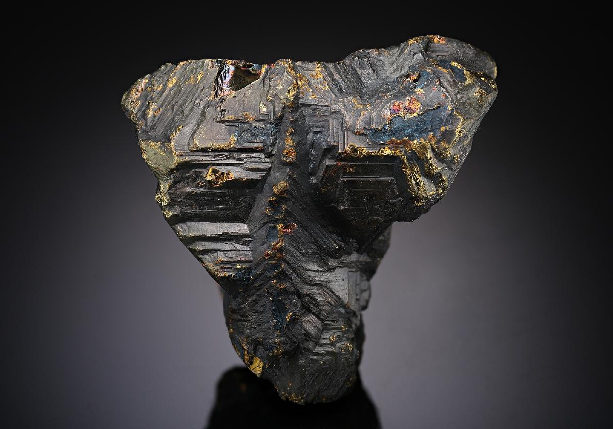 CC13179 specimen image