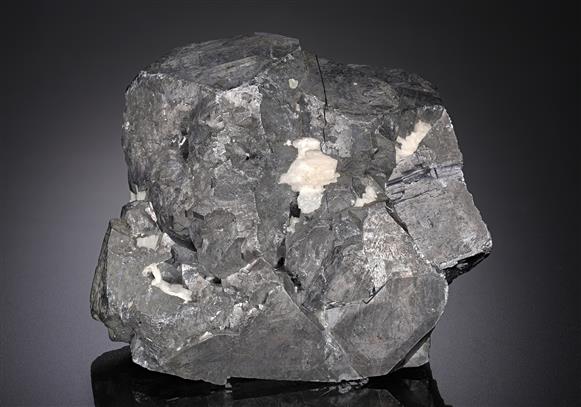CC13234 specimen image