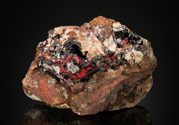 CC13240 specimen image