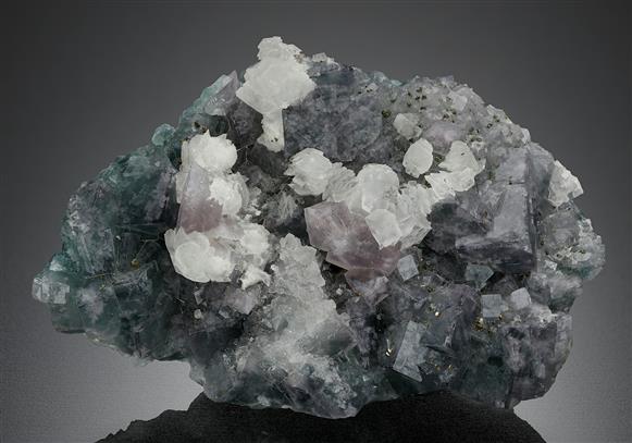 CC13300 specimen image